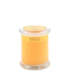 Archipelago Botanicals - Excursion Collection Glass Jar Candle -Purish Sales Store 11791 1600x 7848a210 a0a4 4ad4 a84d 3c58d642203a