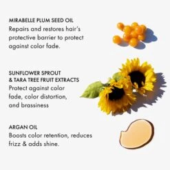 Technician Color Shampoo Extended Color Vibrancy -Purish Sales Store 3 fekkai technician color shampoo extended color vibrancy mini purish