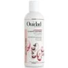 Ouidad - Advanced Climate Control Defrizzing Shampoo -Purish Sales Store 49806065 1