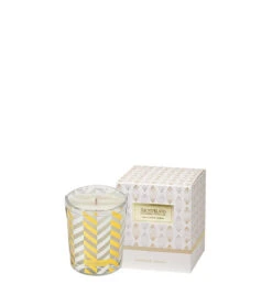 Archipelago Botanicals - Winter Frost Boxed Votive Candle