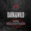 BTS - DARK & WILD / 1st Studio Album -Purish Sales Store BTS Dark and Wild