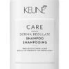 Keune - Care Derma Regulate Shampoo -Purish Sales Store Keune Care Derma Regulate Shampoo 10.1oz 1