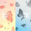 BTS - The Most Beautiful Moment In Life Pt.2 / 4th Mini Album -Purish Sales Store bts the most beautiful moment in life